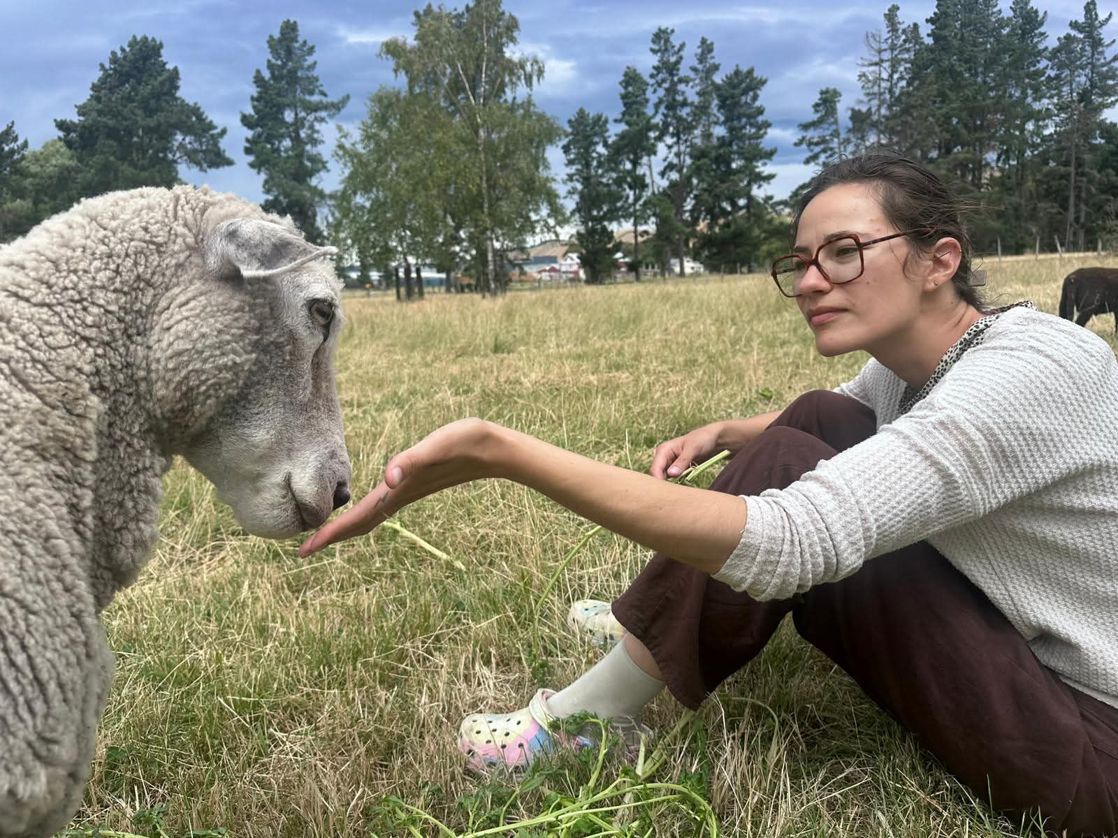 Anne Dumas dans un champ, caressant un mouton